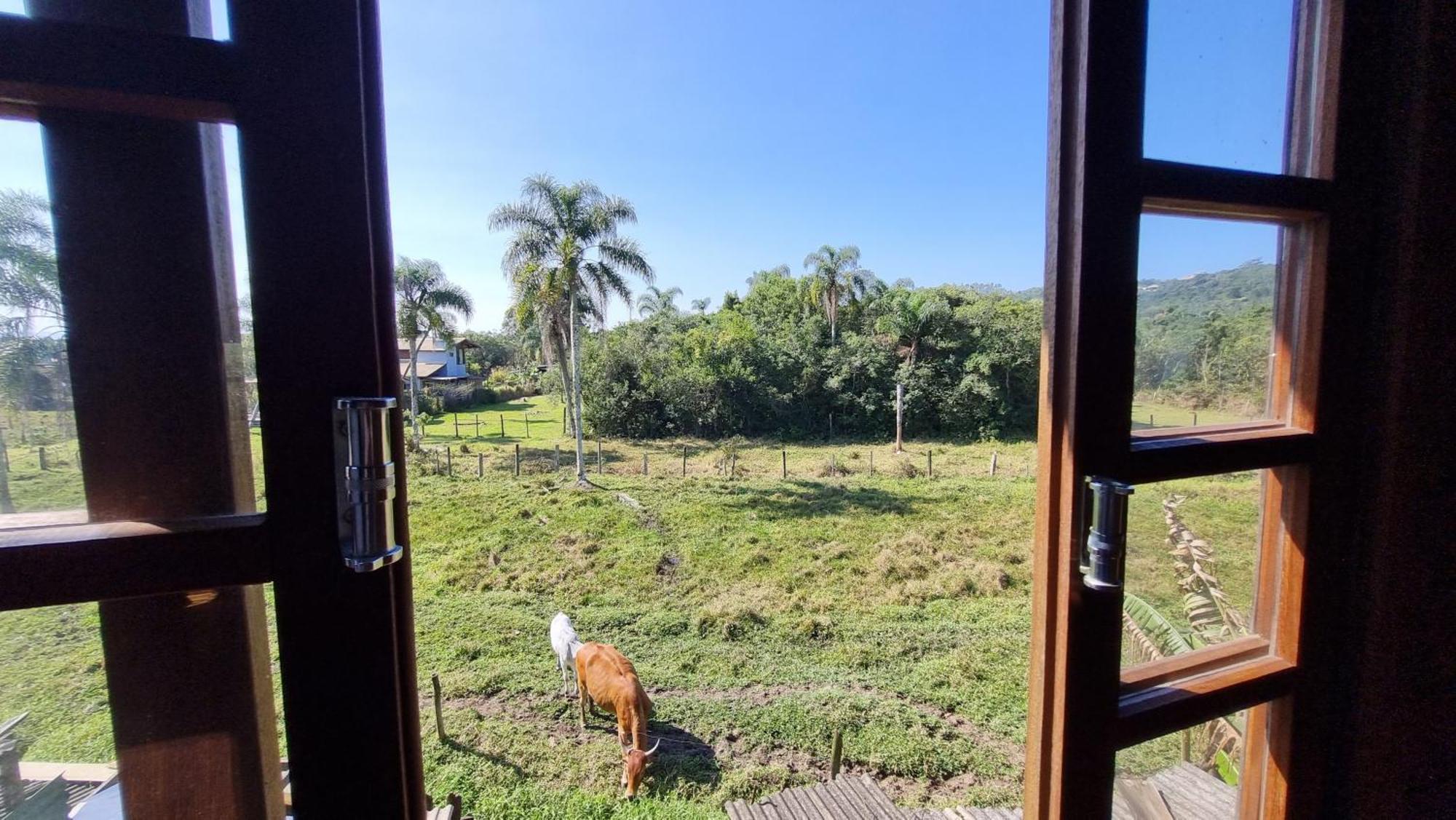 Campsite Arte Da Tribo &